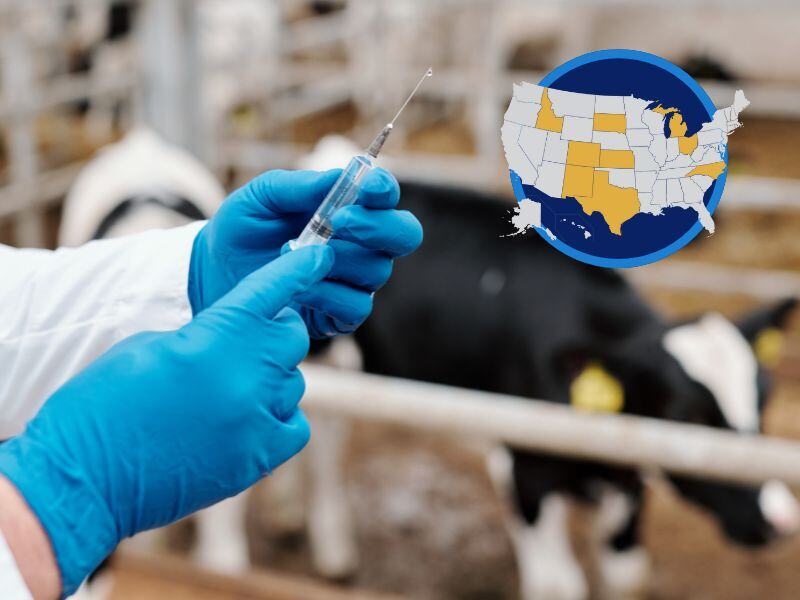 H5N1 Bird Flu Outbreaks: Effect on Vaccines