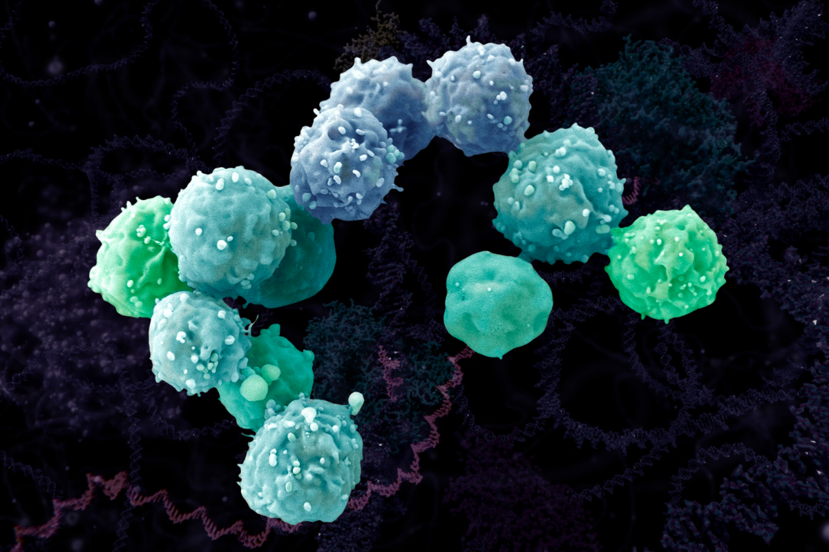 Finding New Immunotherapy Targets for Solid Brain Tumour CAR Ts with RNAseq in Cancer-Specific Exons