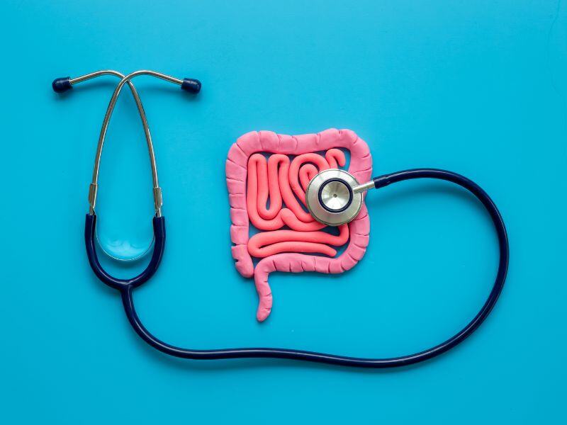 Functional Genomics Reveals Major Cause of Inflammatory Bowel Disease, Discovered by UK Scientists
