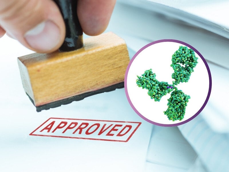 Regeneron’s Bispecific Gets EU Approval After FDA Rejection